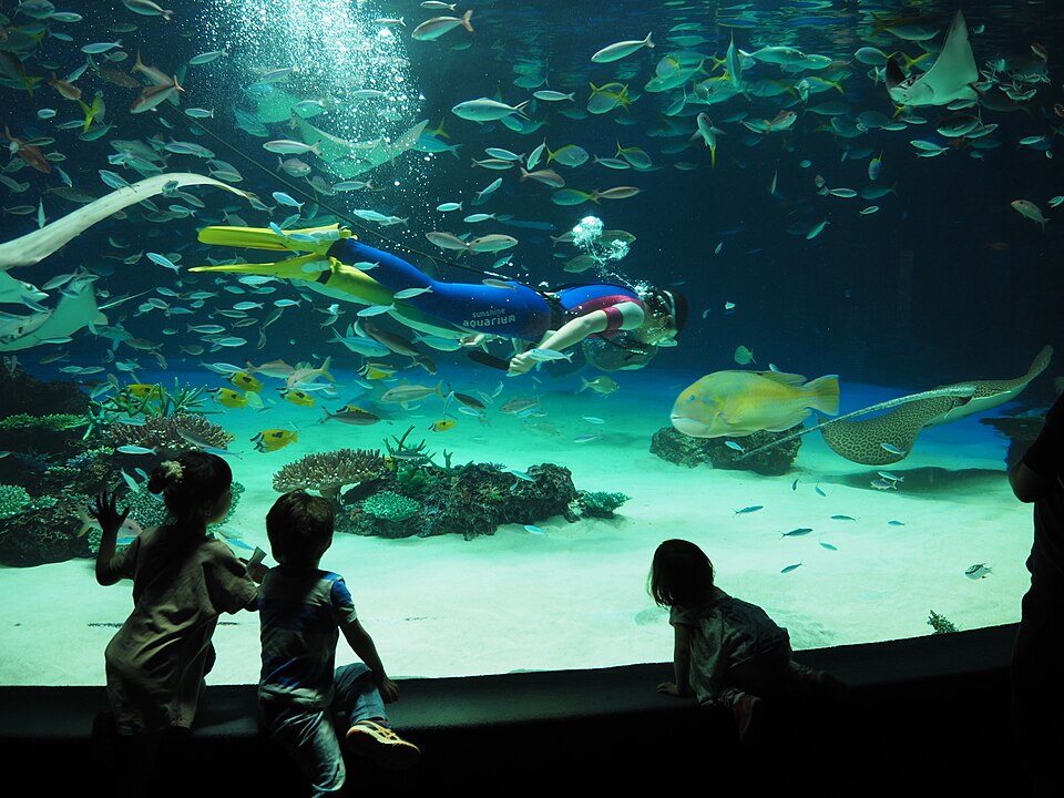 サンシャイン水族館（東京）