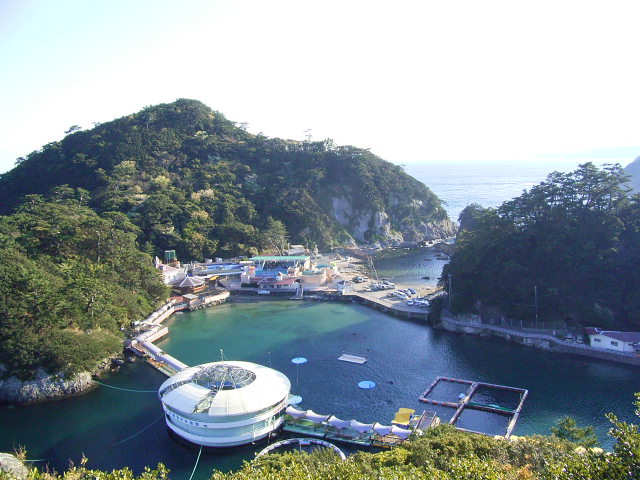 下田海中水族館（静岡）