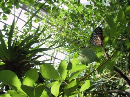 足立区生物園（東京）