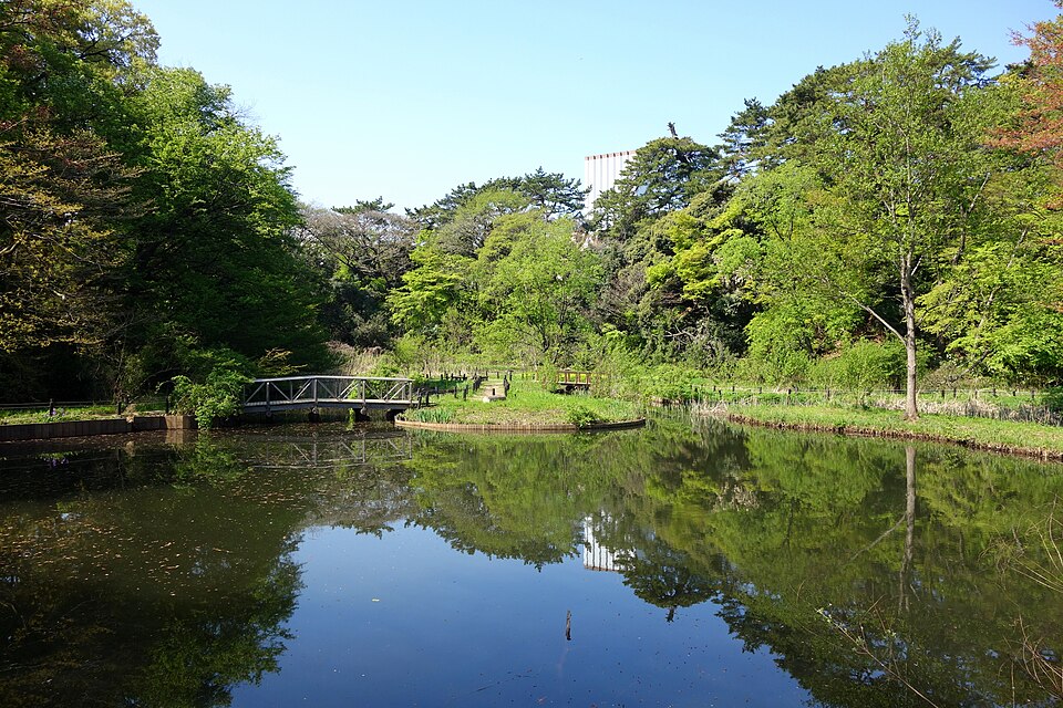 国立科学博物館附属自然教育園（東京）