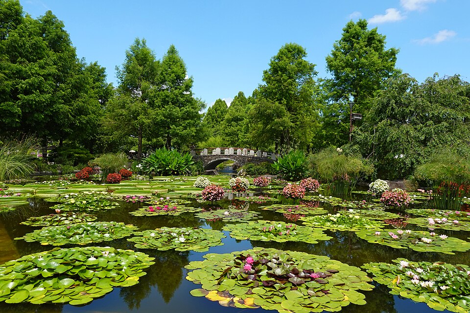 草津市立水生植物公園みずの森（滋賀）