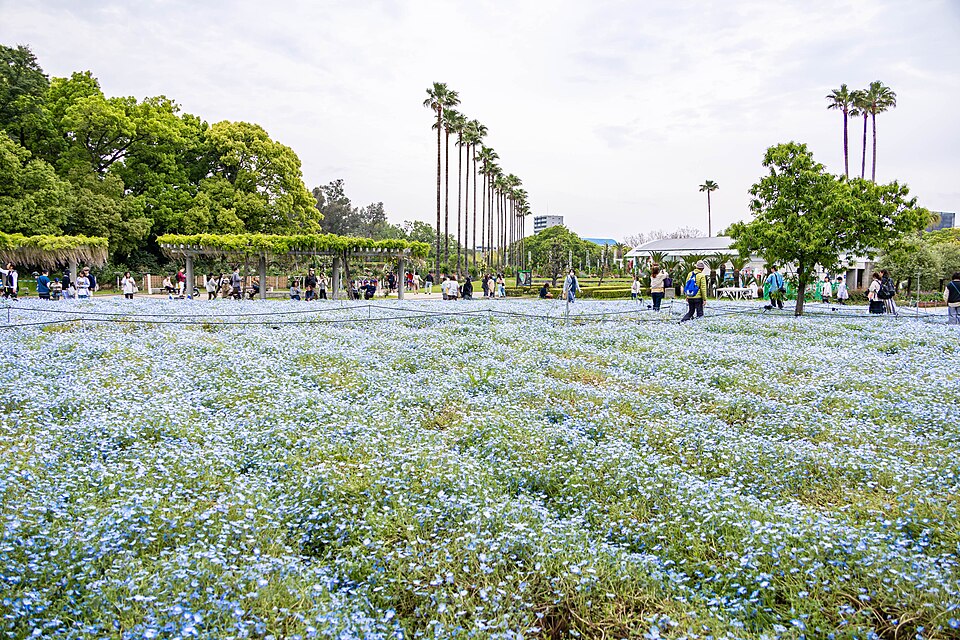 大阪市立長居植物園（大阪）