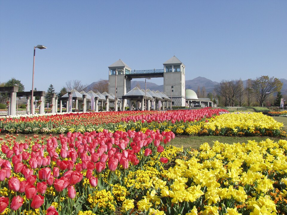 Gunma Flower Park +（群馬）