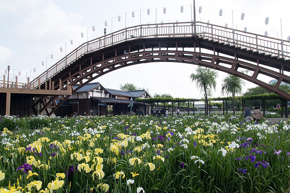 水郷潮来あやめ園（茨城）