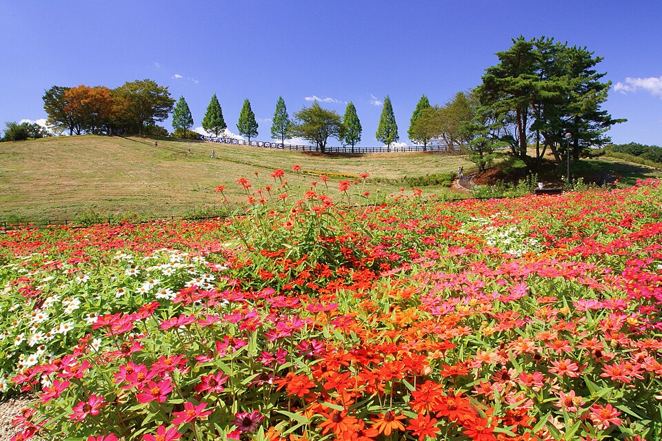 鞍ケ池公園（愛知）