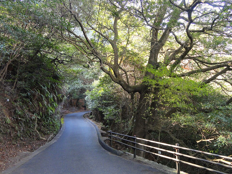 広島大学大学院統合生命科学研究科附属宮島自然植物実験所（広島）