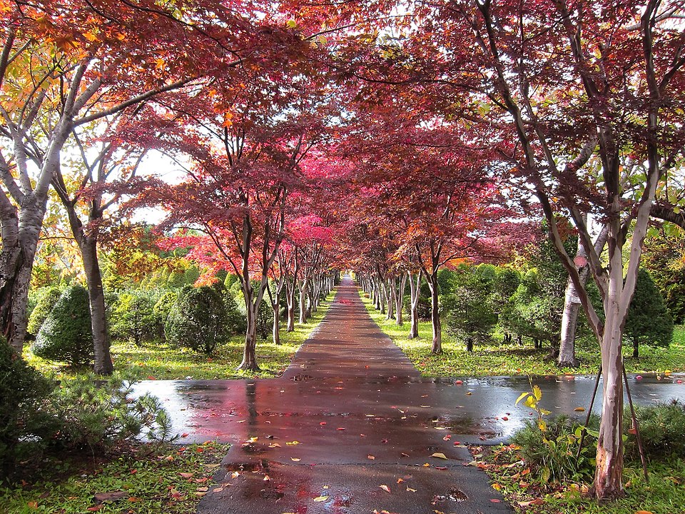平岡樹芸センター（札幌）