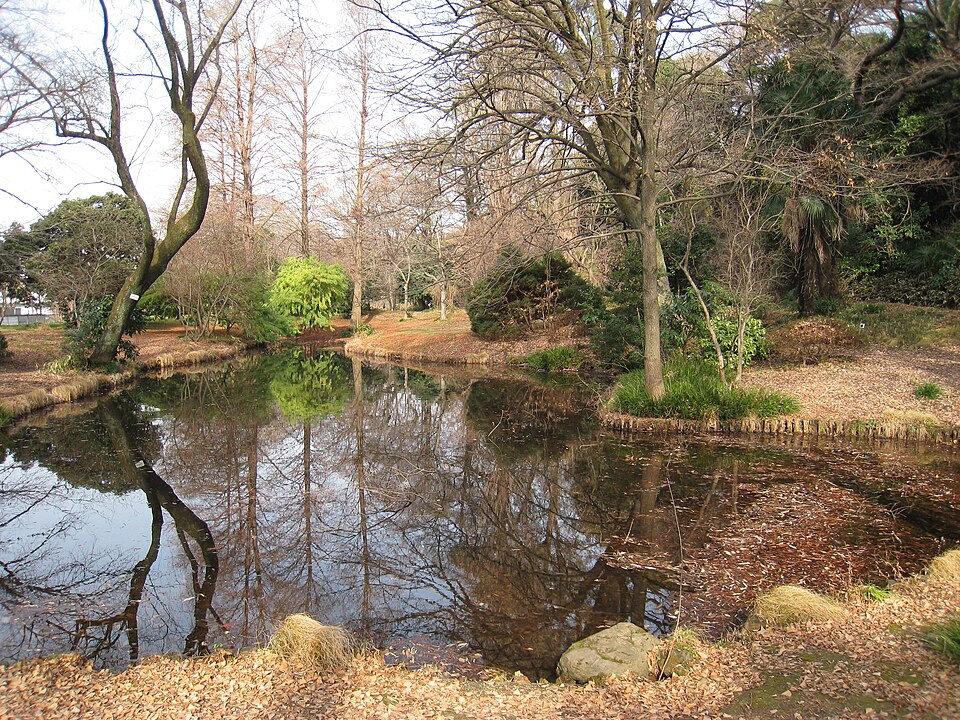 東京大学大学院理学系研究科附属植物園（東京）