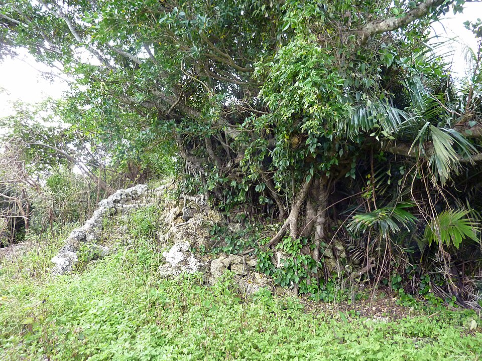 宮古島市熱帯植物園（沖縄）