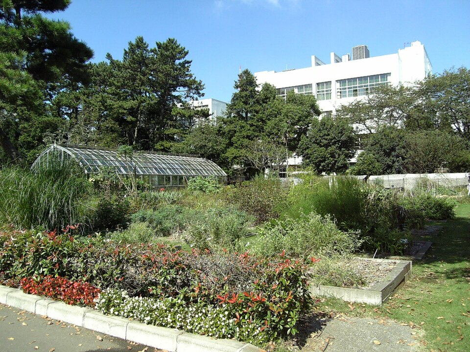 東邦大学薬学部薬用植物園（千葉）