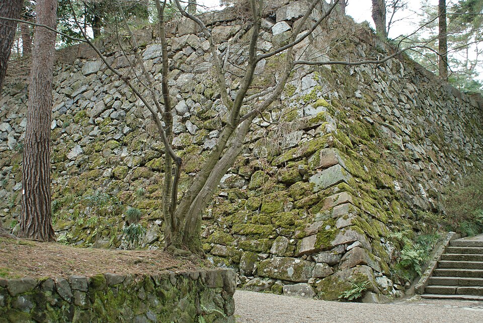 亀山城 (丹波国)（京都）