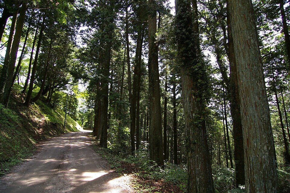 岩村城（岐阜）
