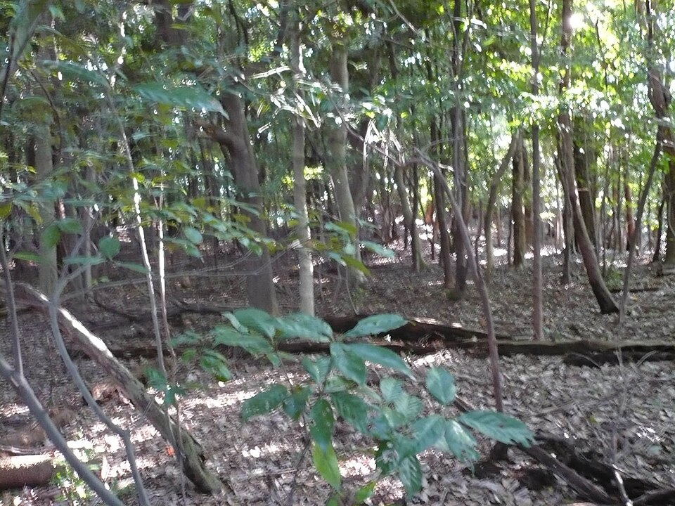 多聞山城（奈良）