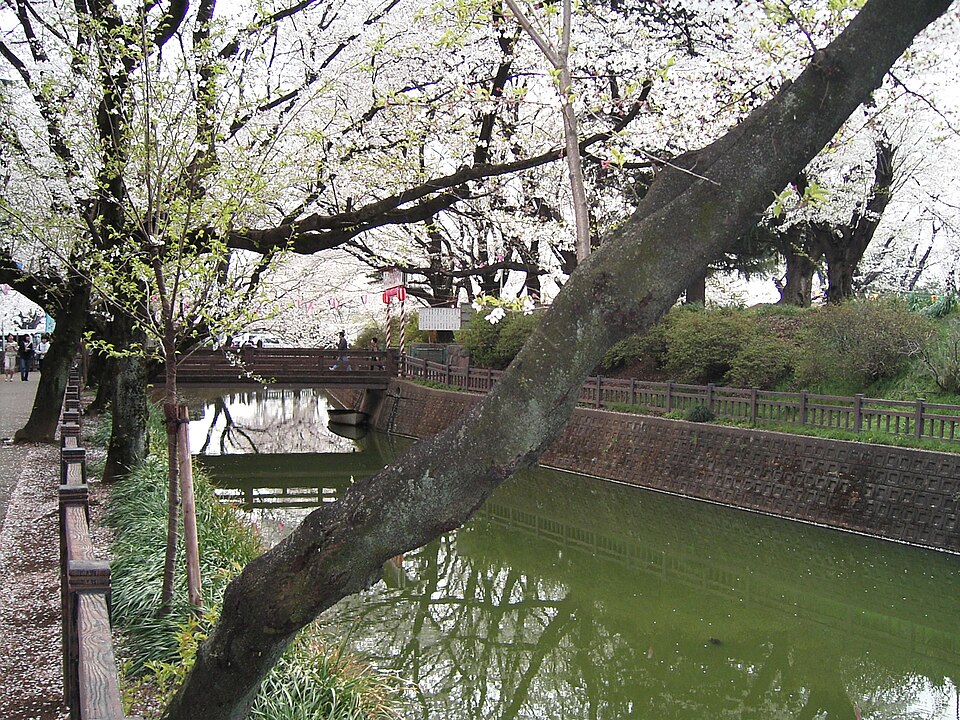 小泉城（群馬）
