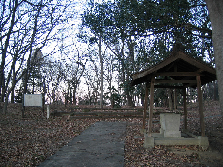松山城 (武蔵国)（埼玉）