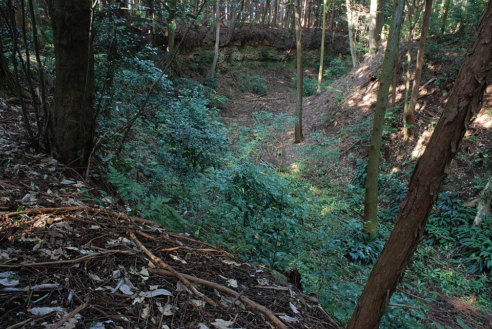 諏訪原城（静岡）