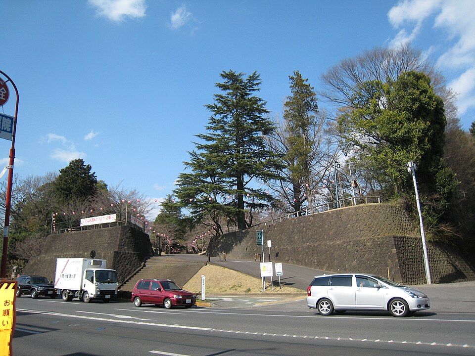 小山城 (下野国)（栃木）