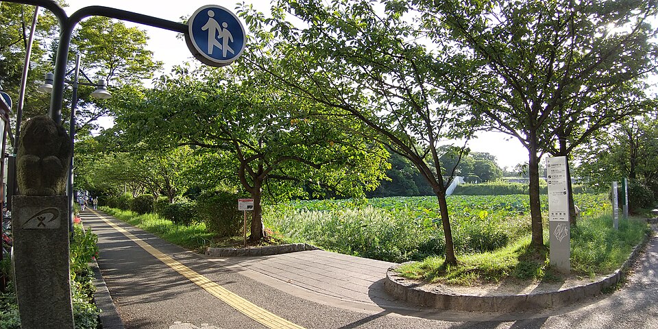 福岡城跡1号堀（福岡市）