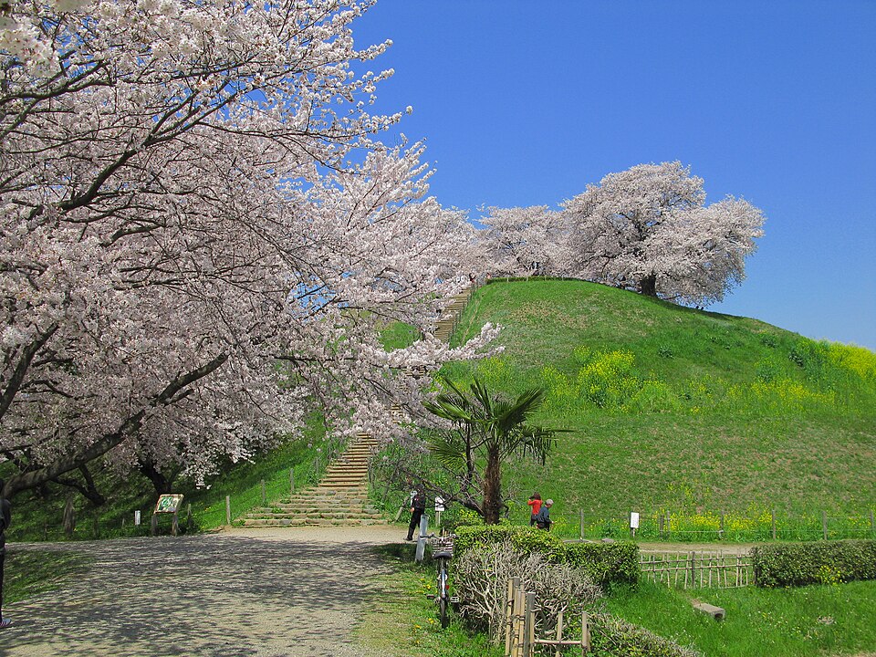 丸墓山古墳（埼玉）