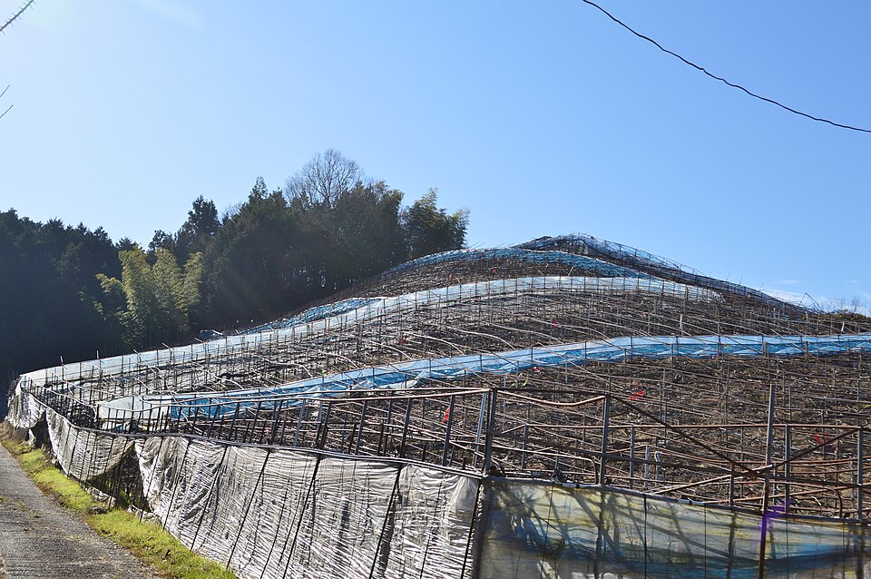 ウワナリ塚古墳（奈良）