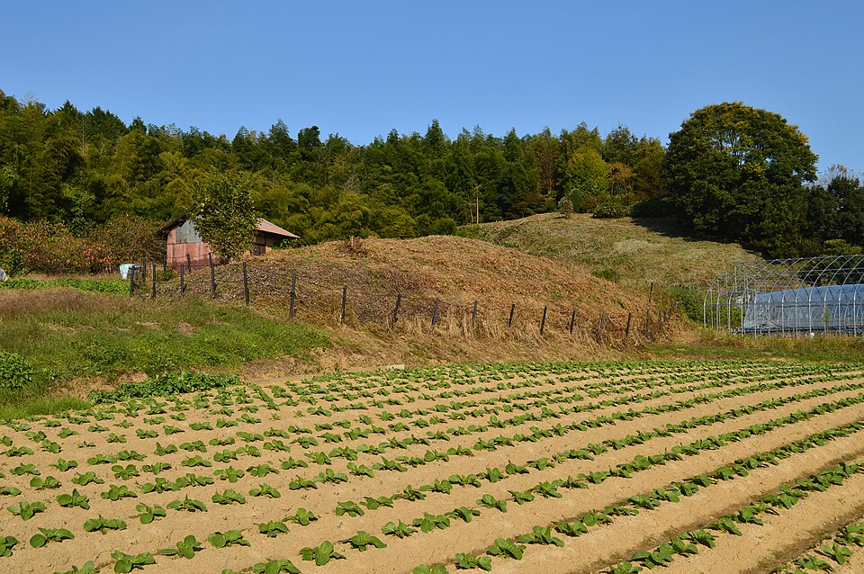 カナヅカ古墳（奈良）