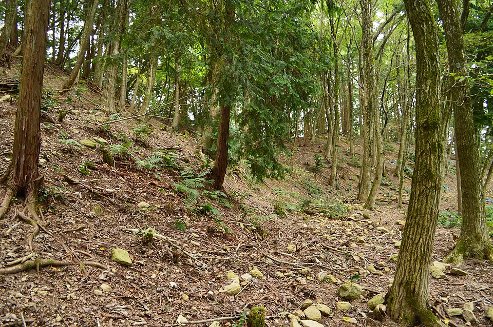 荒神山古墳（滋賀）