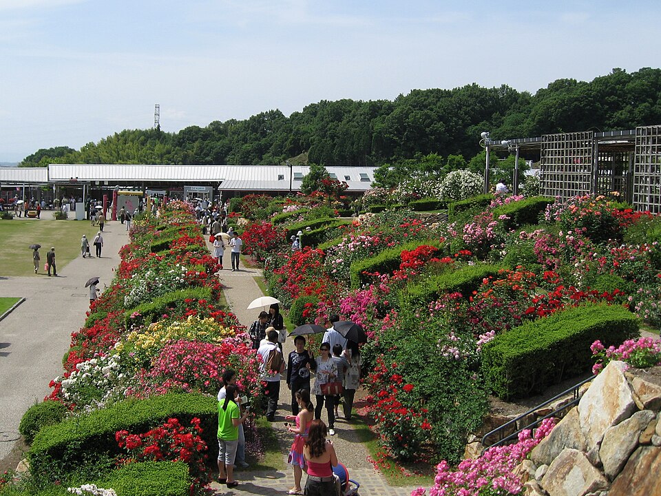 花フェスタ記念公園（岐阜）