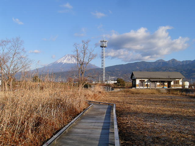 浮島ヶ原自然公園（静岡）