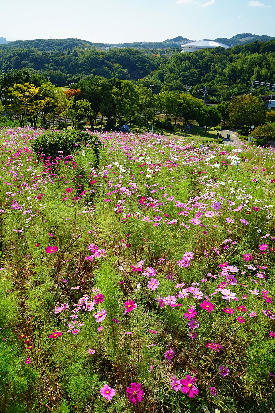 神戸総合運動公園（神戸）