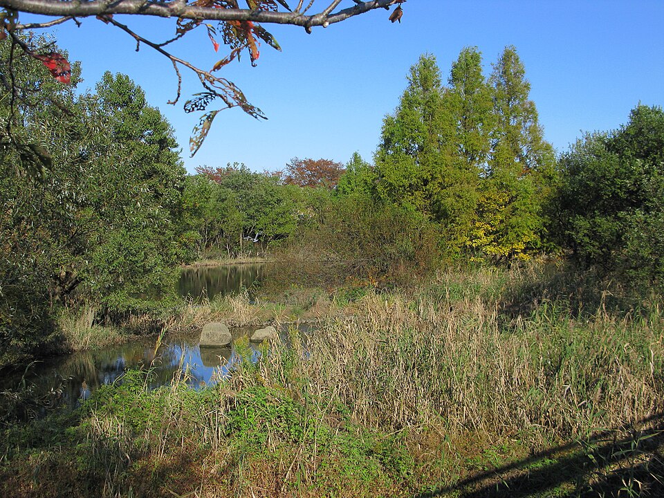 香取公園 (久喜市)（埼玉）