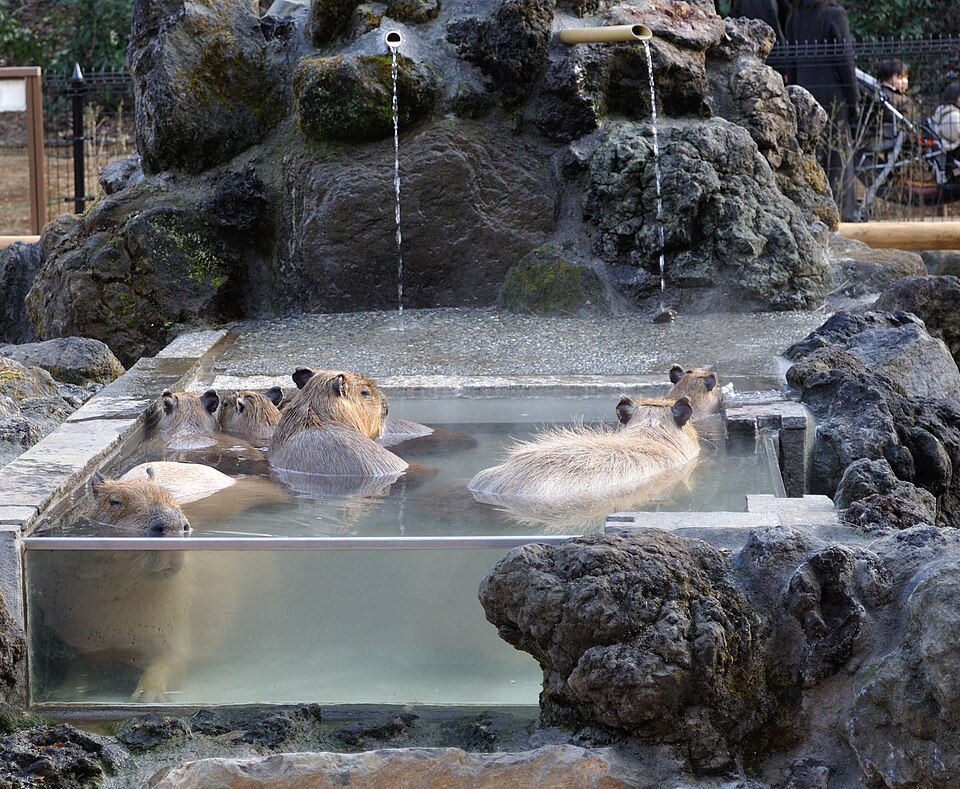 埼玉県こども動物自然公園（埼玉）