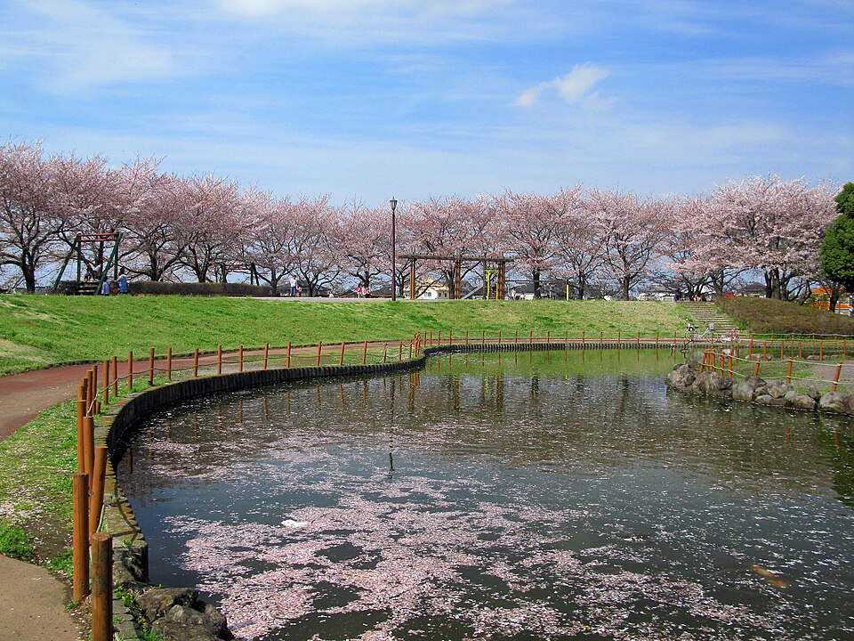 しらさぎ公園（埼玉）
