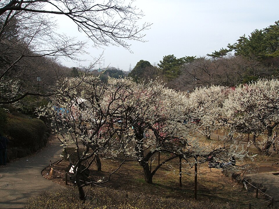 大倉山公園（横浜）