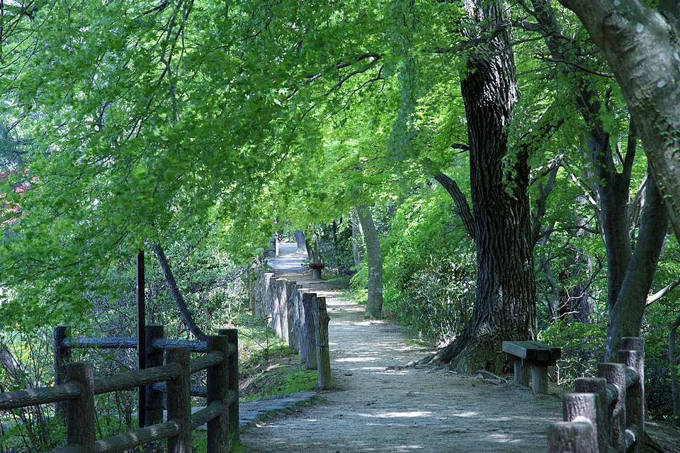 再度公園（神戸）