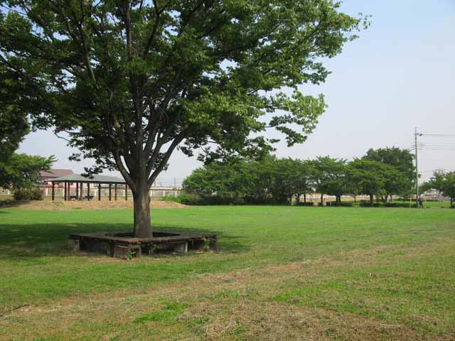 あやめ公園（埼玉）