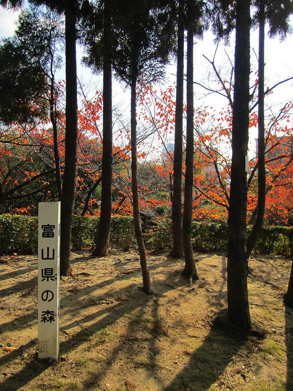 大倉山（神戸）