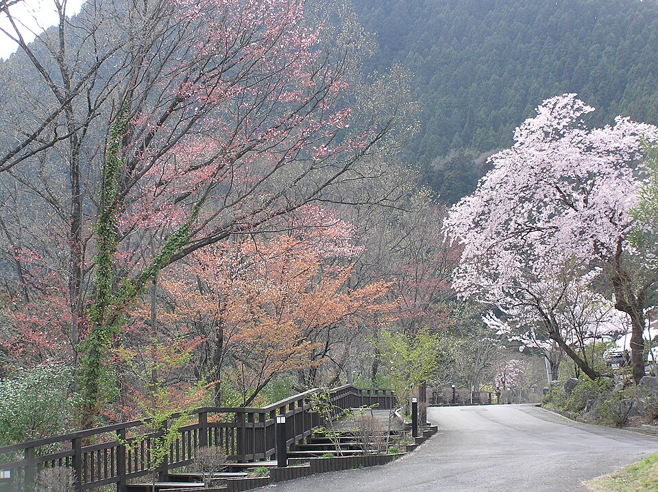 城峯公園（埼玉）