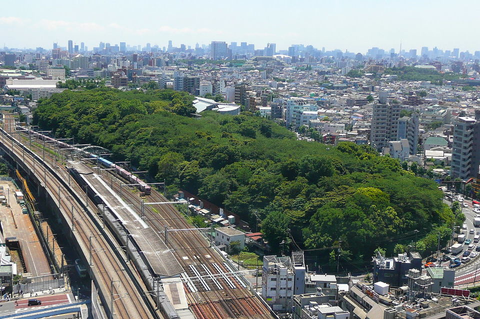 飛鳥山公園（東京）