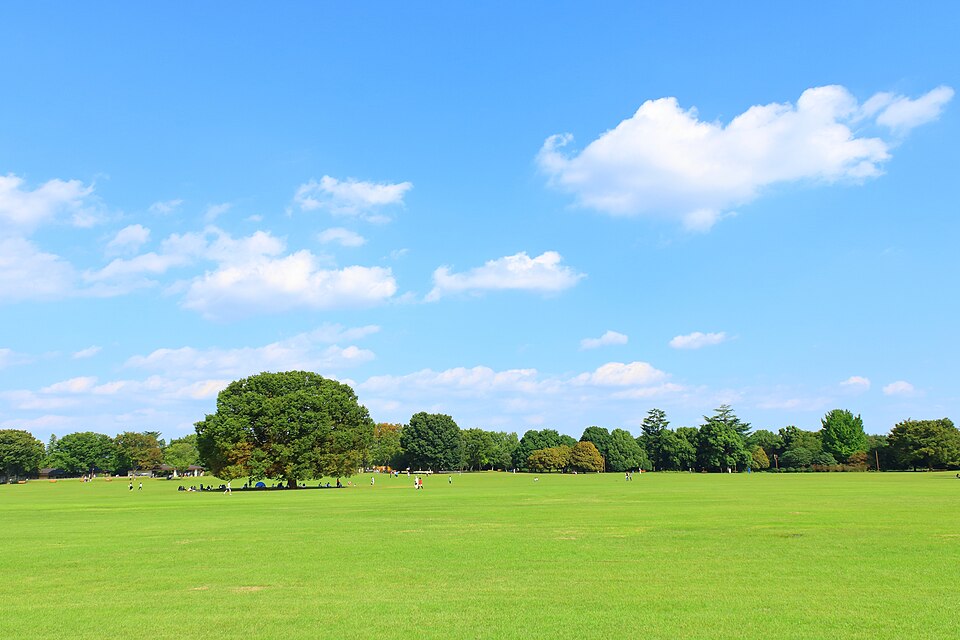 国営昭和記念公園（東京）