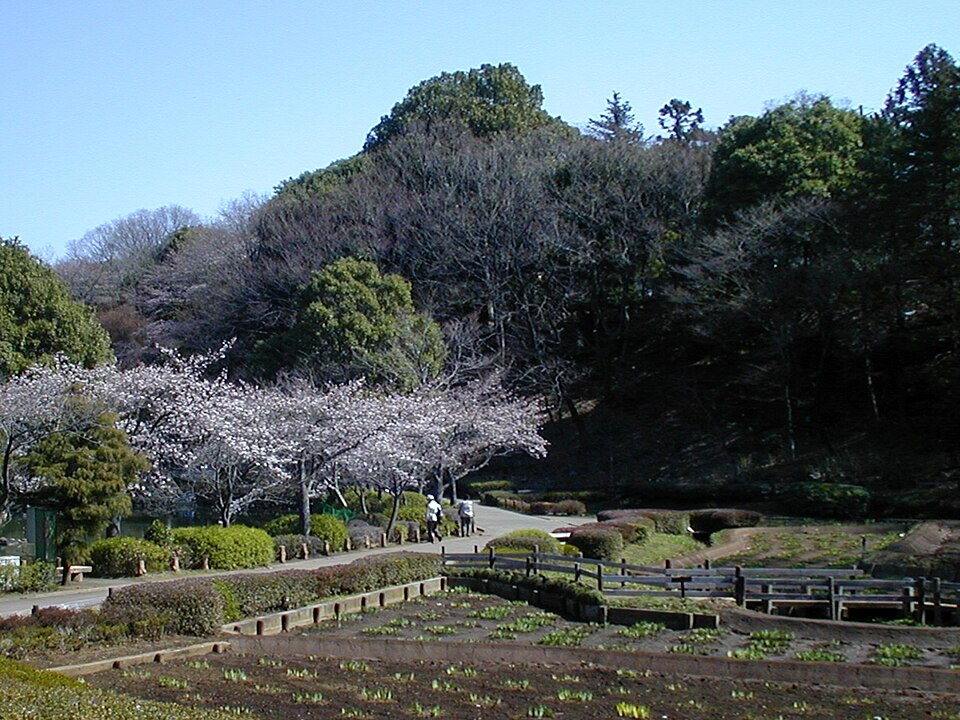 薬師池公園（東京）