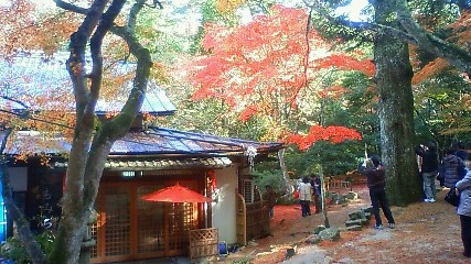 紅葉谷公園（広島）
