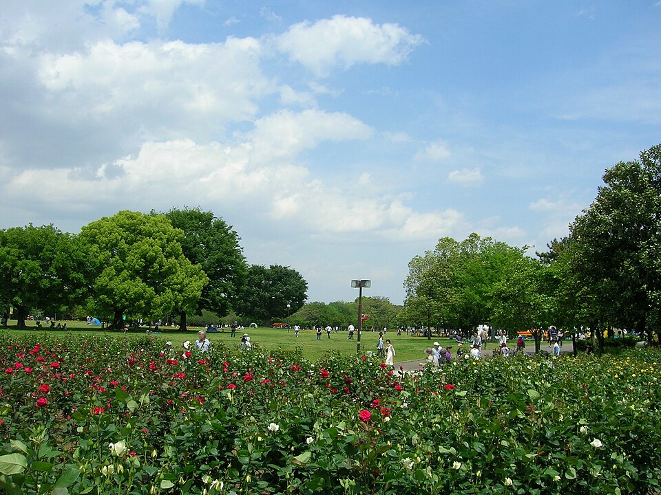 庄内緑地（愛知）