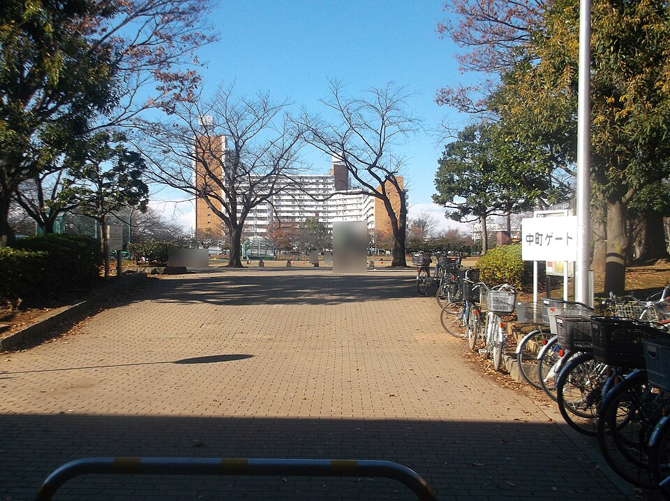 新小岩公園（東京）