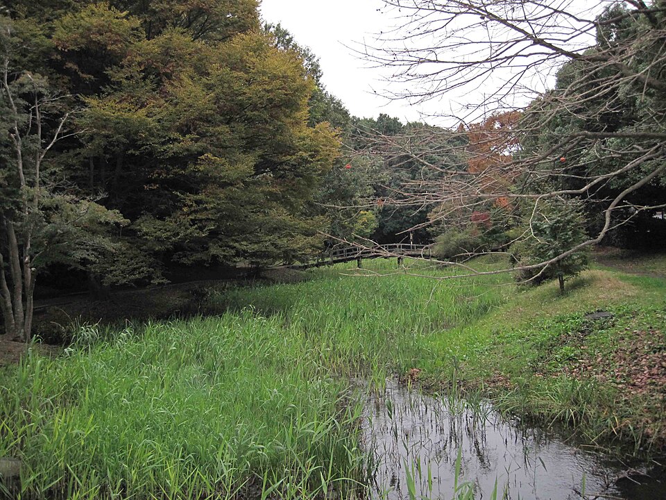 道保川公園（神奈川）