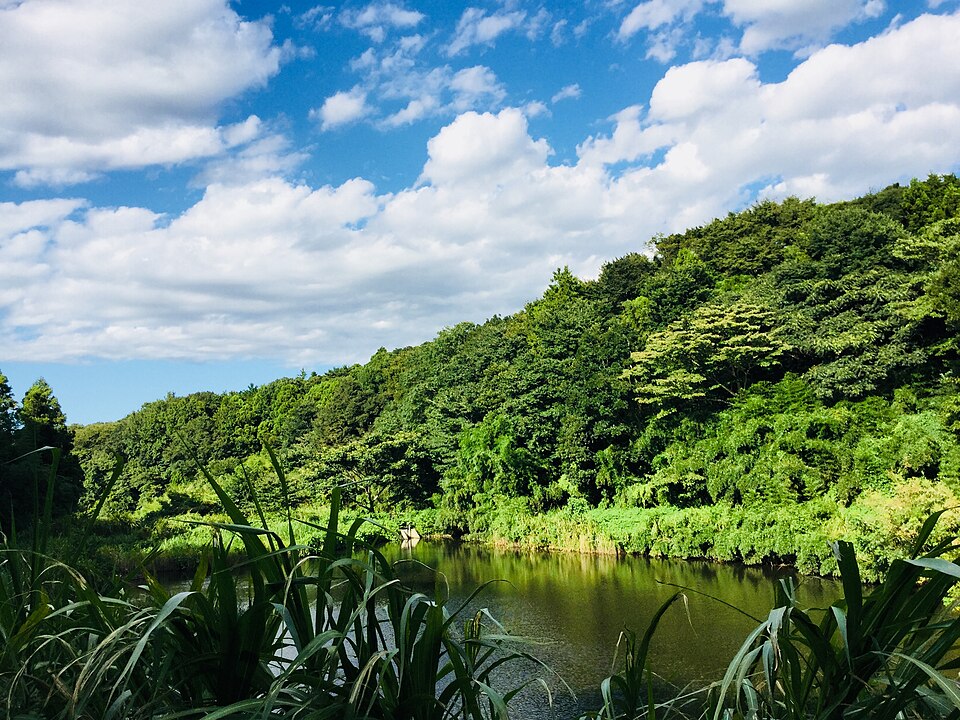 神奈川県立茅ケ崎里山公園（神奈川）