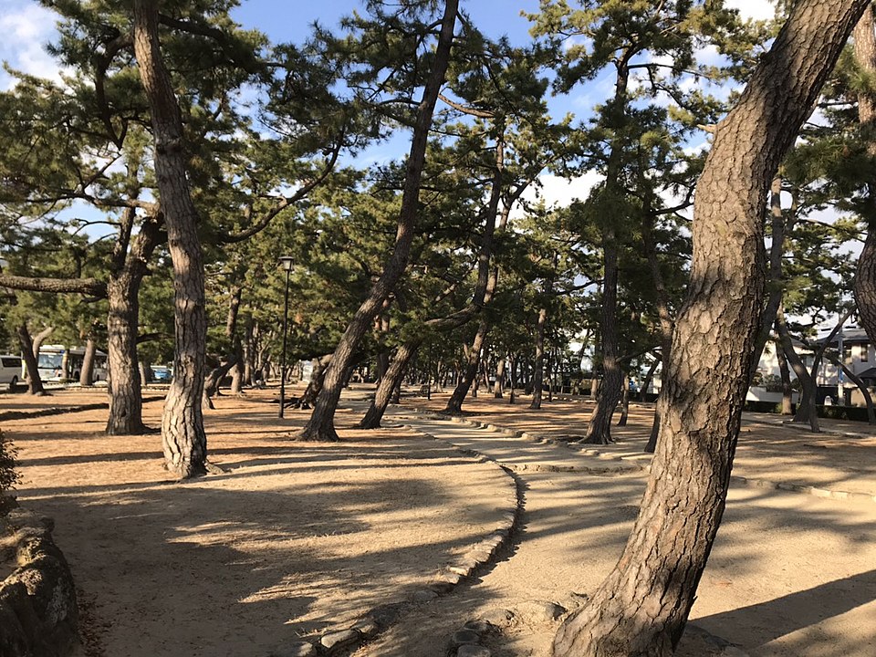 芦屋公園（兵庫）