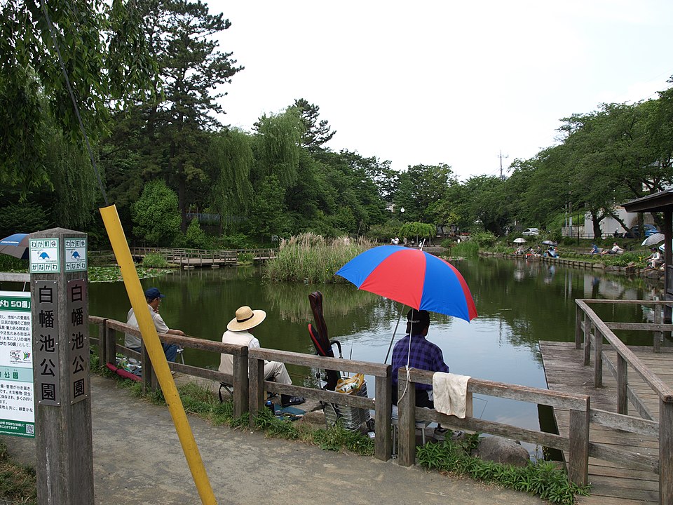 白幡池公園（横浜）