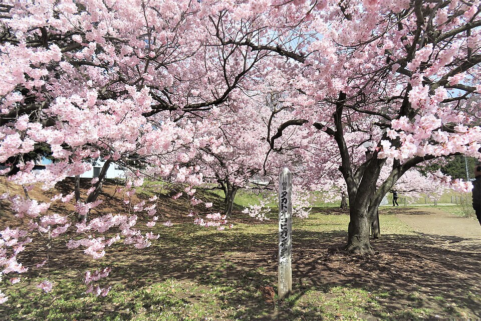 高梨館跡公園（長野）