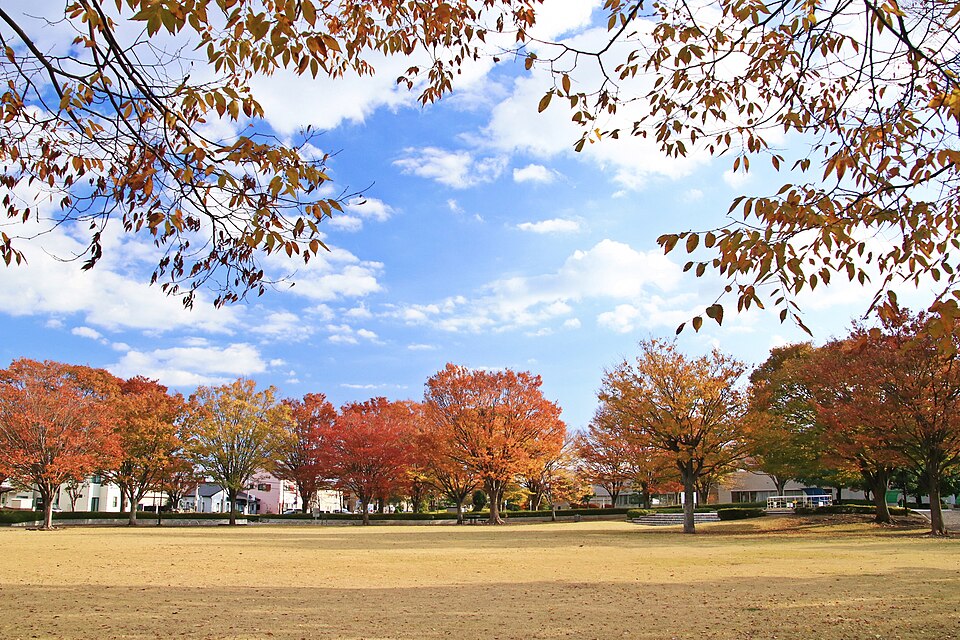 清見田公園（静岡）