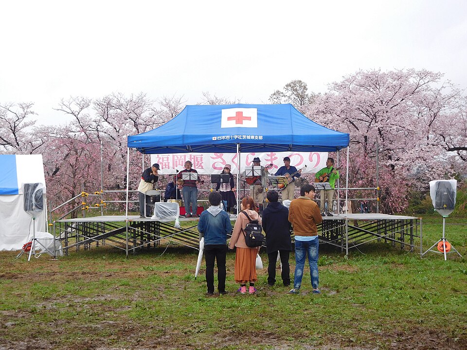 福岡堰さくら公園（茨城）